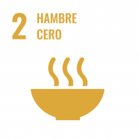 Plan Comunitario de Carabanchel Alto
